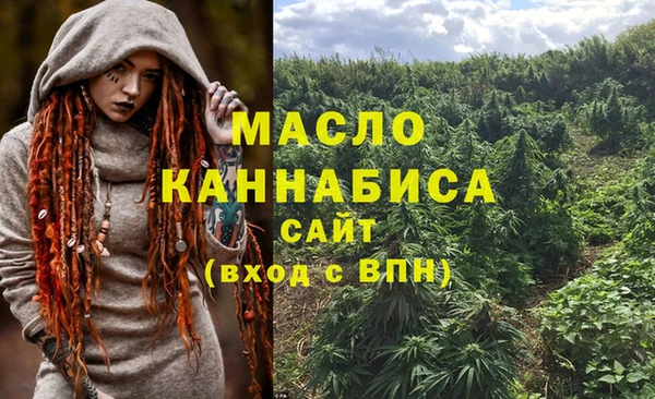 сатива Верея